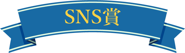 SNS賞