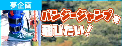 アイアール夢企画：バンジージャンプを飛んでみたい！