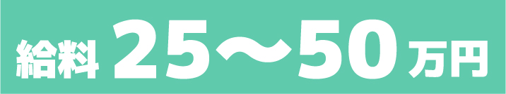 給料25～50万円