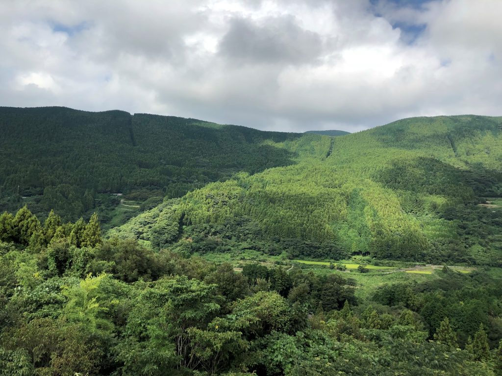 温泉施設からの風景