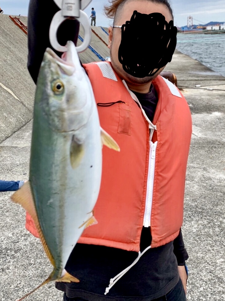ツバス(ブリの幼魚)