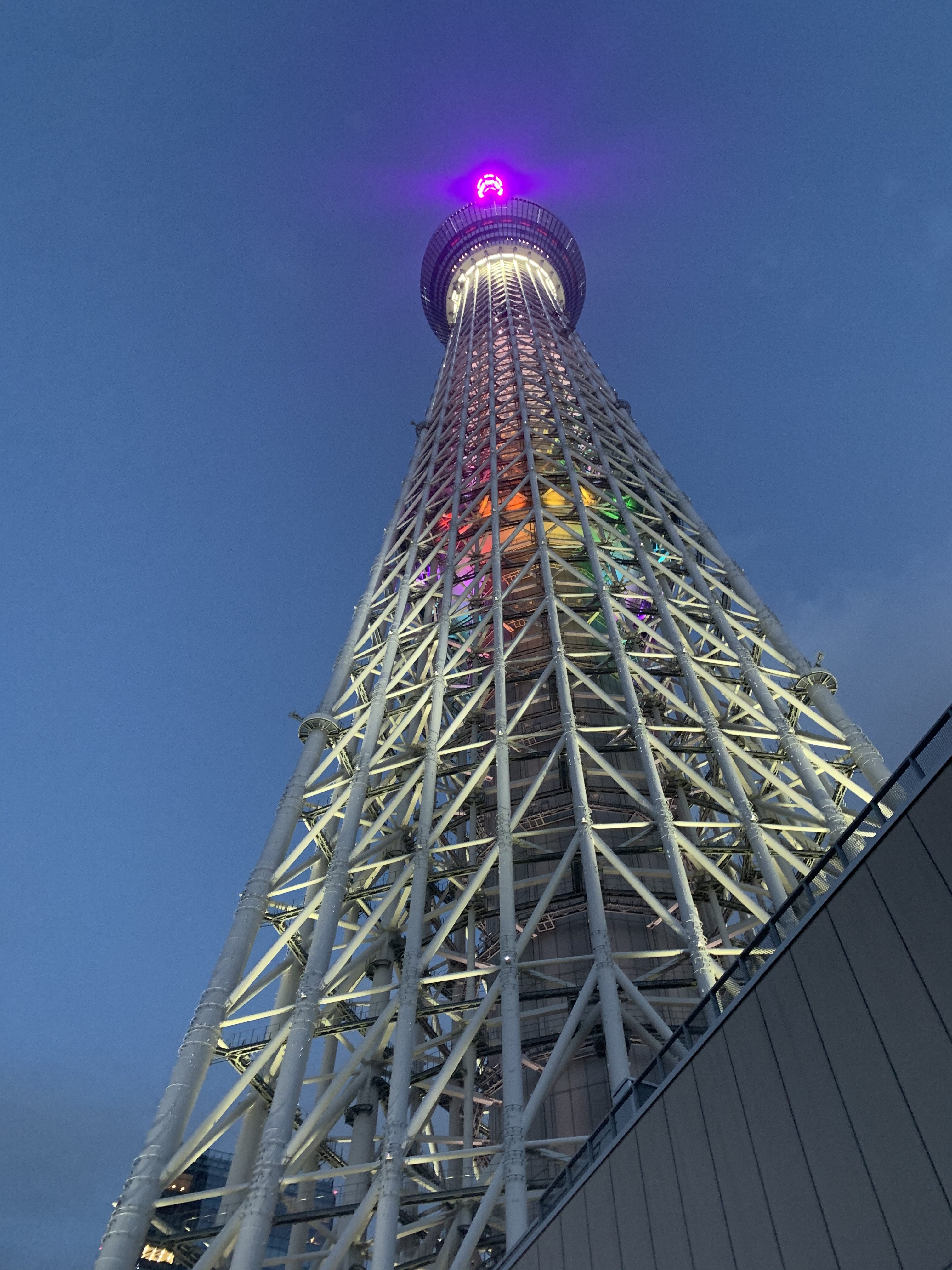 スカイツリーの画像
